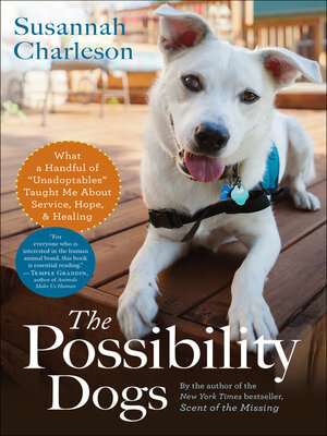 cover image of The Possibility Dogs